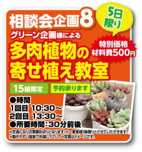 多肉植物寄せ植え