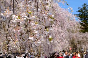 蜷咲ｧｰ譛ｪ險ｭ螳壹ヵ繧ｩ繝ｫ繧ｿ繧兔DSC_7359_01_01