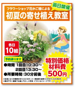 寄せ植え