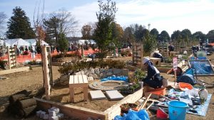 IMG_20171126_110928