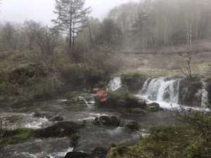 IMG_8366