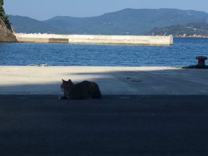 田代島3