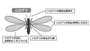 プレゼンテーション1のサムネイル