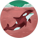 alma profile picture